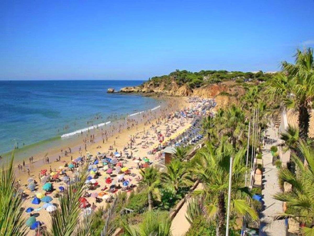 V4, Villa Jardins Branqueira2 Near Beach, Albufeira Eksteriør billede